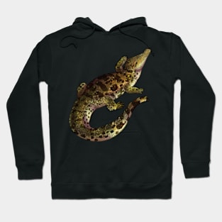 Cozy Nile Crocodile Hoodie